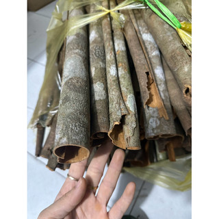 Vỏ quế khô gói 100g