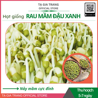 Hạt giống rau mầm đậu xanh (giá đỗ)