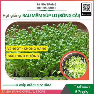 Hạt giống rau mầm súp lơ xanh (mầm bông cải xanh)