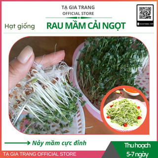 Hạt giống rau mầm cải ngọt
