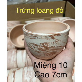 Chậu đất nung trứng 10x7cm loang đỏ - trứng loang đỏ - chậu đất nung 10cm