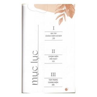 Sách Vanlangbooks - Thực Hành Chánh Niệm