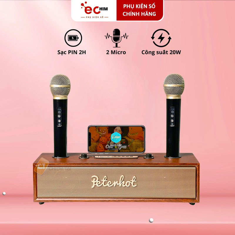 Loa karaoke bluetooth PETERHOT.A100 cao cấp kèm 2 micro, công suất 20W bass trầm siêu hay.