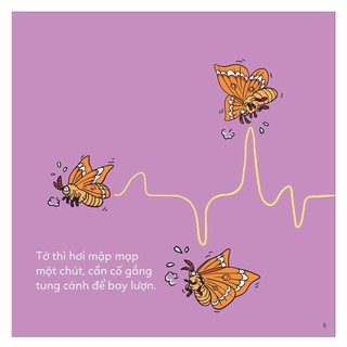 Sách - Đố Em Phân Biệt! - Bướm Và Bướm Đêm