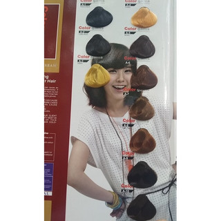 Thuốc Nhuộm Tóc Color gams (17———>31)