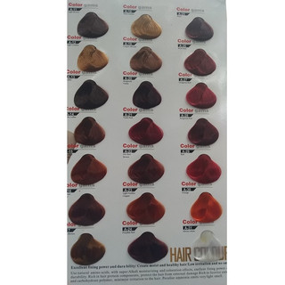 Thuốc Nhuộm Tóc Color gams (17———>31)