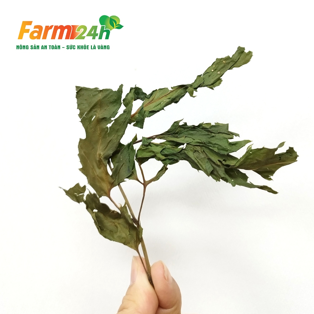 Lá Đinh Lăng khô thơm loại 1 – 500g