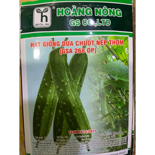 HẠT GIỐNG DƯA CHUỘT NẾP THƠM GSA286