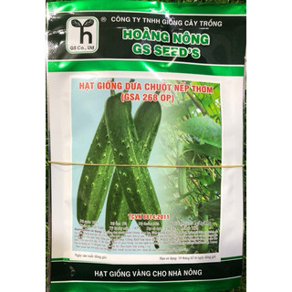 HẠT GIỐNG DƯA CHUỘT NẾP THƠM GSA286