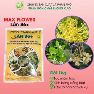Phân bón kích bông lân 86+ gói 1kg - kích bông đồng loạt, tạo mầm hoa, xử lý ra hoa nghịch vụ, hạn chế nghẹn hoa