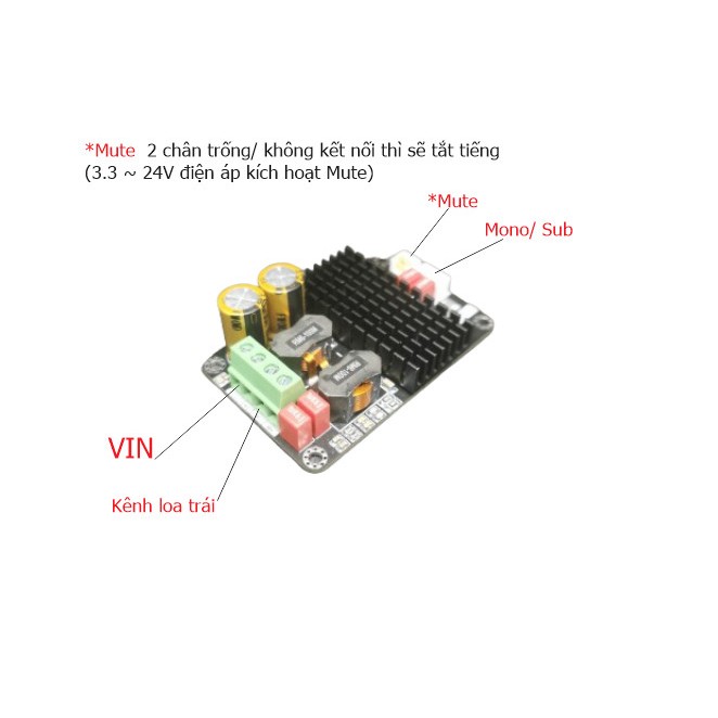 ANT-DIY (Được kiểm hàng) Mạch khuếch đại công suất Class D Mono TPA3156 140W/ TPA3116 100W/ TPA3118 60W