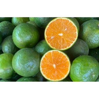 Cam sành mỏng vỏ - siêu ngọt siêu ngon