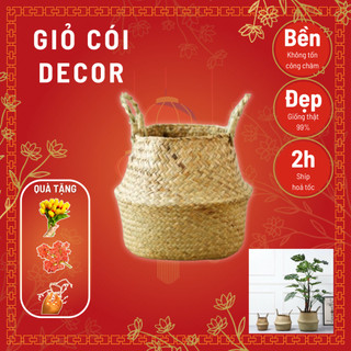 Giỏ cói trồng cây trang trí decor, đựng đồ, cắm hoa