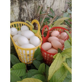 1 giỏ 20 trứng gà/vịt - Đồ chơi nấu ăn cân kí dành cho bé iu