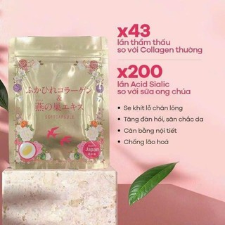 Collagen tươi Nhật Bản - dưỡng ẩm cấp nước chống lão hóa