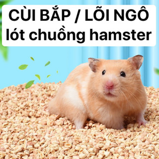 CÙI BẮP LÕI NGÔ lót chuồng cho Hamster / Bò sát / Lưỡng cư