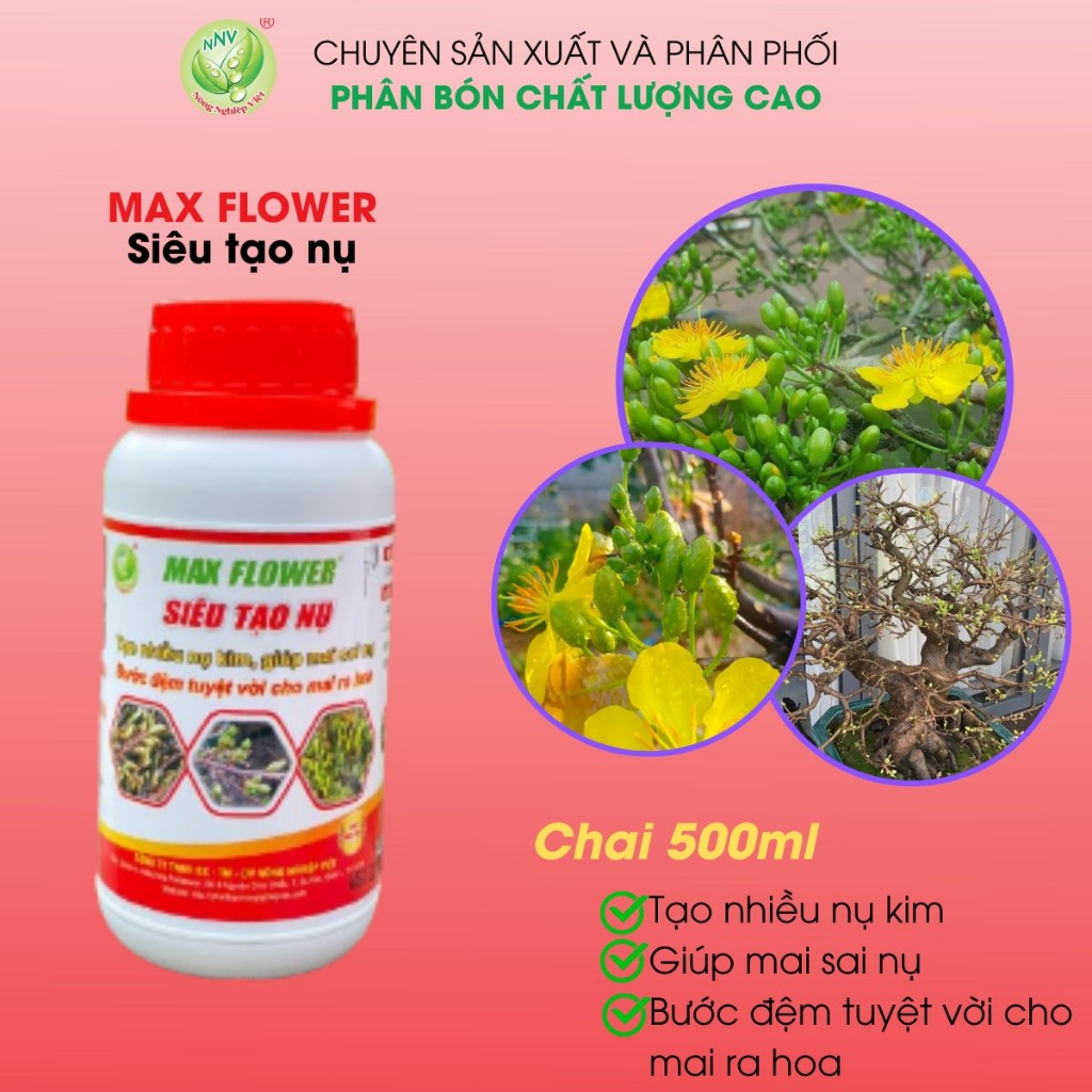 SIÊU TẠO NỤ MAI