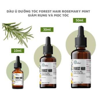 Mangtaybaby - Dầu ủ dưỡng tóc FOREST HAIR Rosemary Mint Scalp and Hair Oil