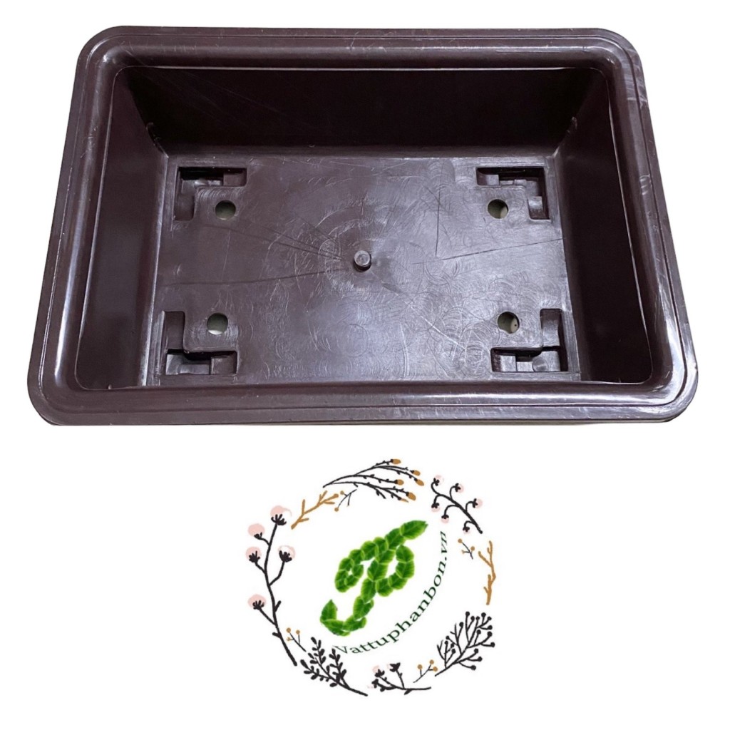 Chậu Chữ nhật Bonsai - #017D# 30x20x8cm