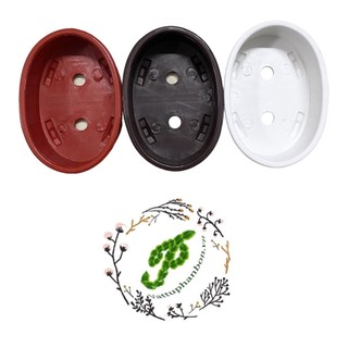 Chậu oval bonsai ad 16x12x5cm - #022c#