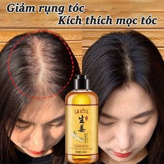 Dầu gội gừng chống rụng tóc dầu gội đầu mọc tóc thảo dược dưỡng sinh 300ML Làm khỏe chân tóc