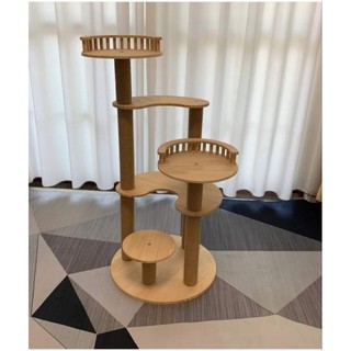 Cattre cho mèo, nhà mèo Vip