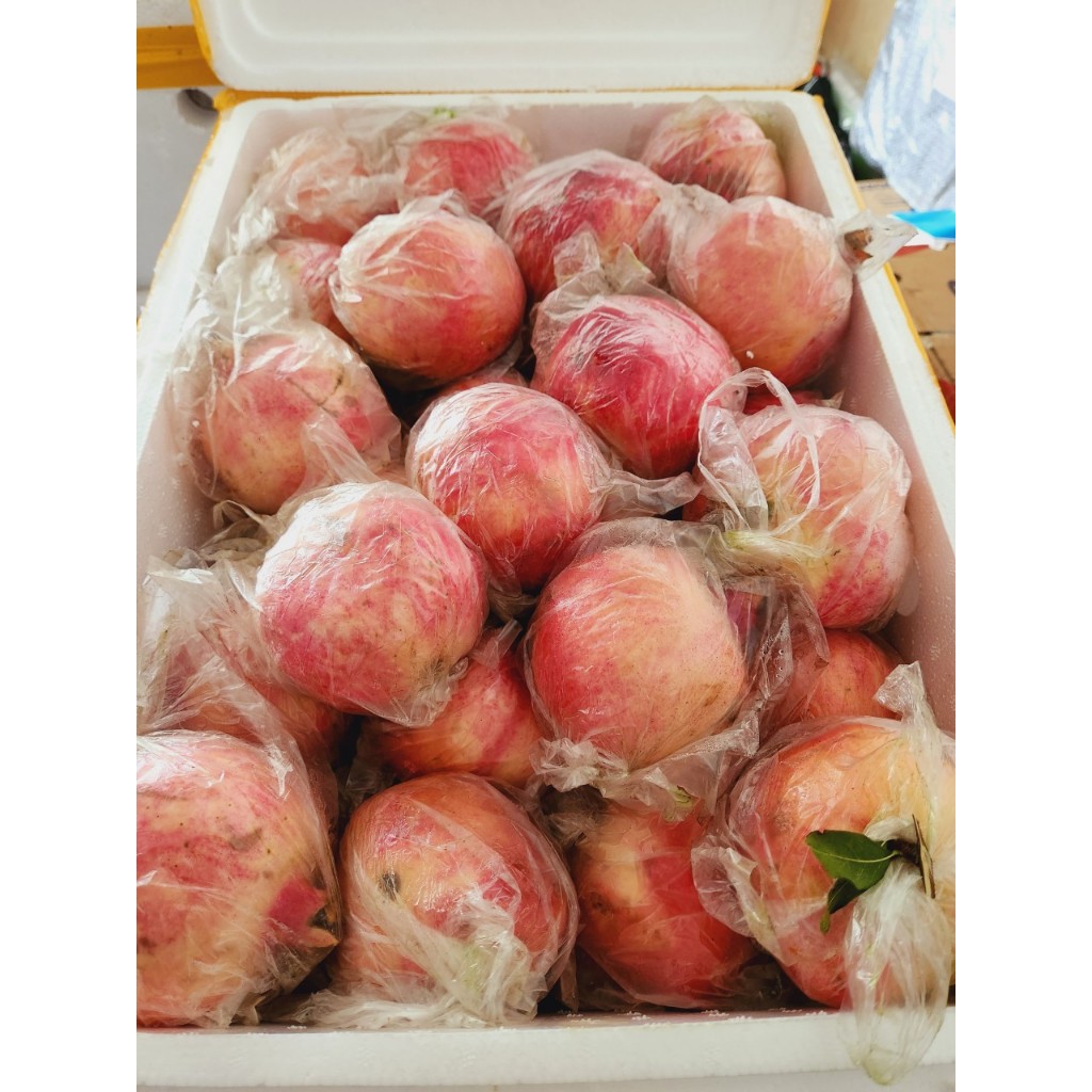 1 Thùng lựu ruột hồng ngọt cả thùng 13 kg