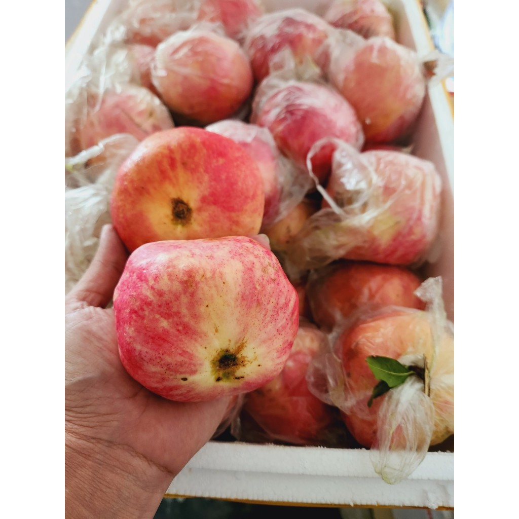 1 Thùng lựu ruột hồng ngọt cả thùng 13 kg