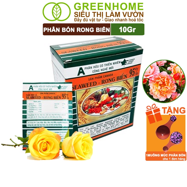 Phân Bón Lá Rong Biển Greenhome, Seaweed, Gói 10Gr, Hữu Cơ, Đậu Trái, Chắc Hạt, Tăng Khả Năng Ra Đọt