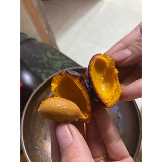 Quả Cọ Phú Thọ | 1kg 2025