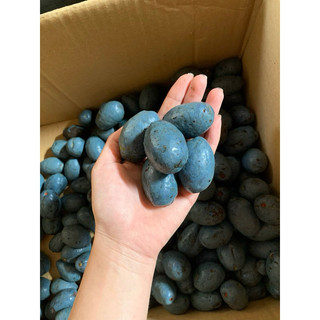Quả Cọ Phú Thọ | 1kg 2025