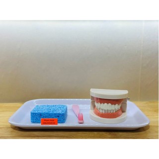 Sét hoạt động đánh răng - thực hành cuộc sống
