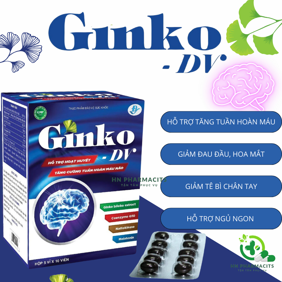 Hoạt Huyết GINKO 1v/ngày cải thiện mất ngủ đau đầu tê bì chân tay lưu thông máu tăng cường trí nhớ t