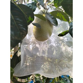 Túi lưới bọc mít 50*70cm màu trắng