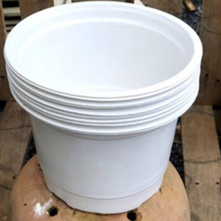 Chậu nhựa vành cứng 23x15
