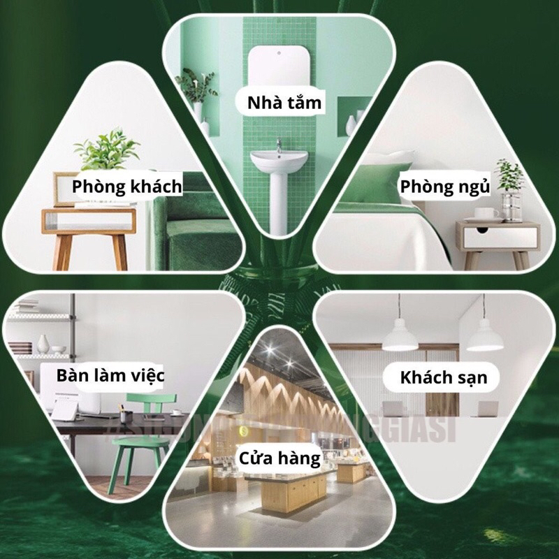 Nước hoa để phòng trang trí phòng