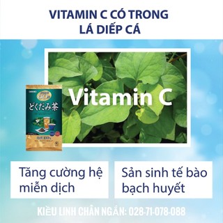 Trà diếp cá orihiro nhật - thanh nhiệt, giải độc cơ thể