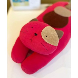 Mèo Nằm Hikosen Cara
