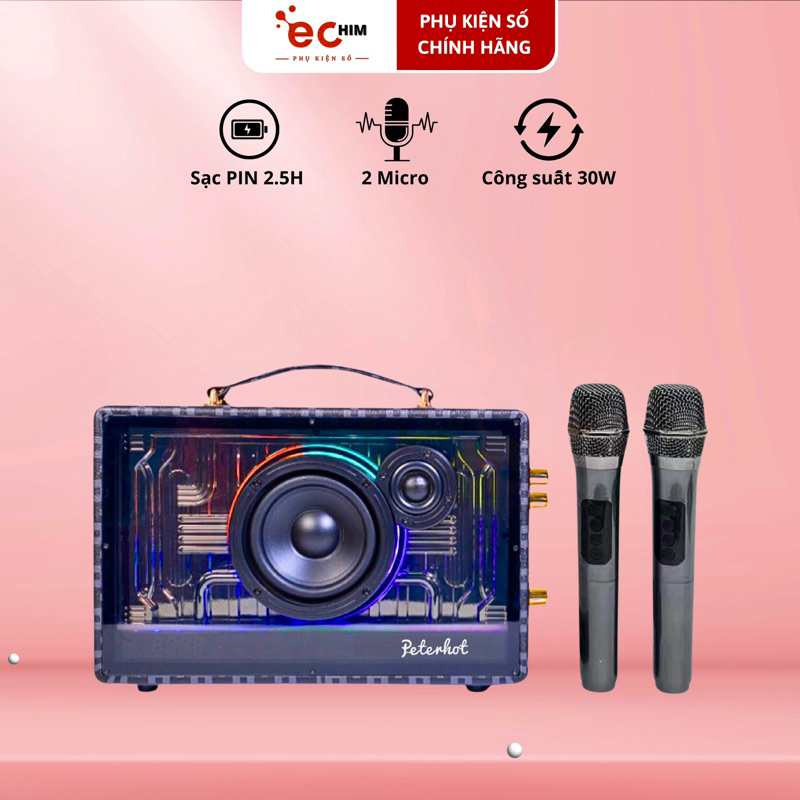 Loa karaoke bluetooth PETERHOT A66 cao cấp kèm 2 micro, âm bass siêu hay, tích hợp đèn LED bắt mắt.