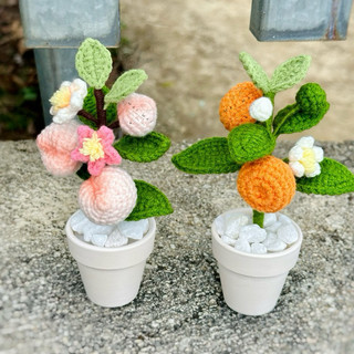 Chậu quất mini/chậu đào mini chưng tết/chậu quất bằng len/chậu đào bằng len/chậu tắc len/móc tay