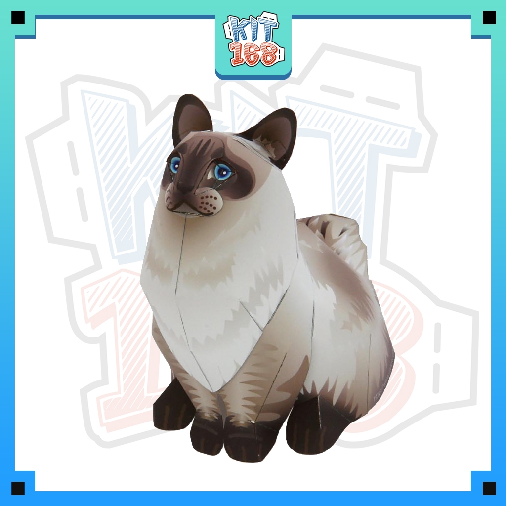 Mô hình giấy động vật Mèo Ragdoll