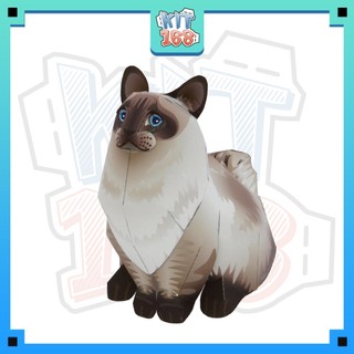 Mô hình giấy động vật Mèo Ragdoll