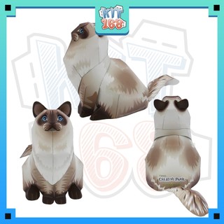 Mô hình giấy động vật Mèo Ragdoll