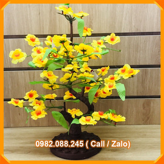 Cây đào, mai giả - thân đầu rồng cao 50cm