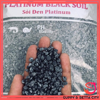 Sỏi đen Platinum trải nền bể cá, bể thủy sinh