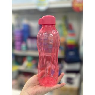 Bình nước có dây Eco Bottle 500ml