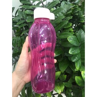 Bình nước có dây Eco Bottle 500ml