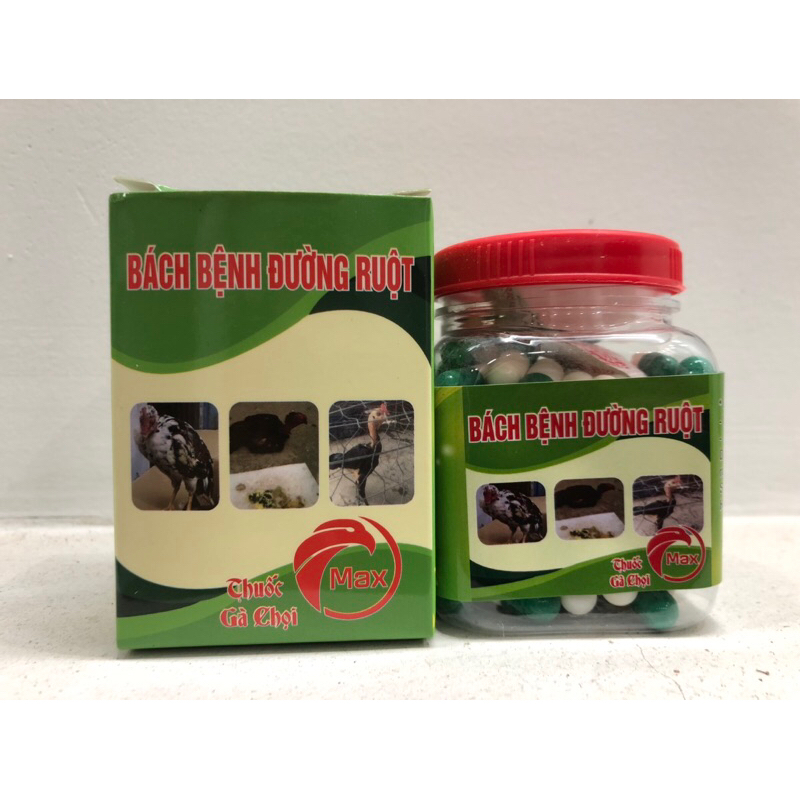 Bách bệnh đường ruột cho gà chọi