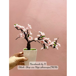 Chậu đào bonsai để bàn - Hoa đào, hoa mai, hoa tết kẽm nhung