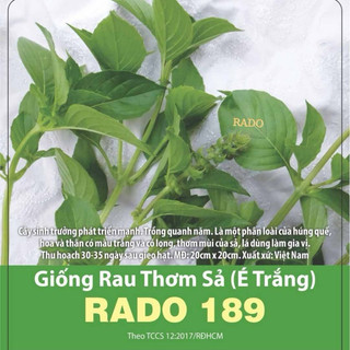 Hạt giống rau lá é thơm sả é trắng siêu thơm